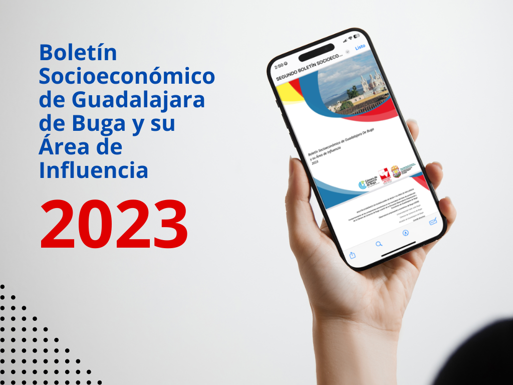 Boletín Socioeconómico de Guadalajara de Buga y su Área de Influencia 2023